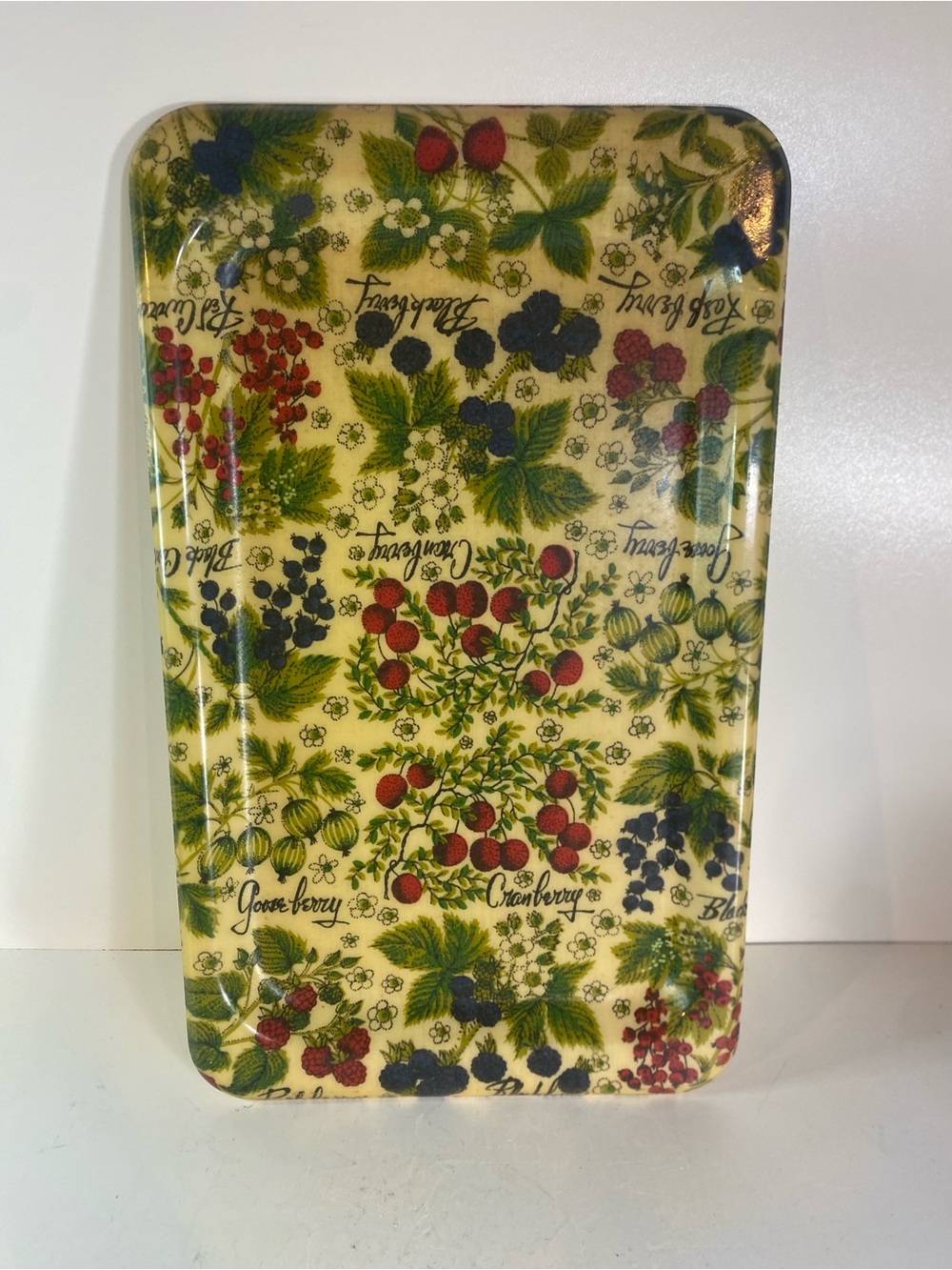 Rectangle Vintage Midcentury Berries Fiberglass Serving Tray 12”x20
